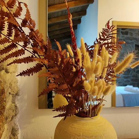 Casa Donegrinho Com Piscina Holiday home